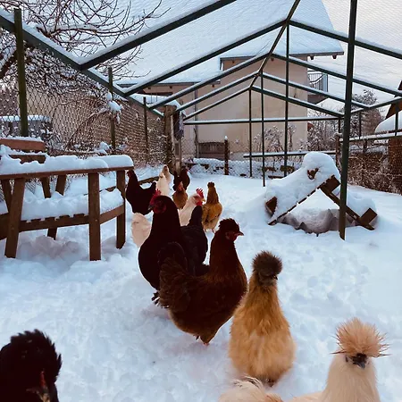 Apartamento Oekologisch Wohnen Im Gruenen *