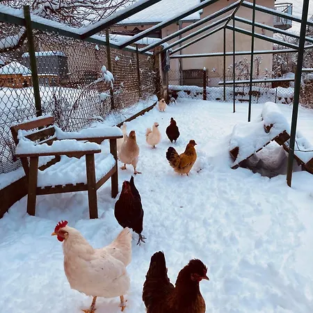 Oekologisch Wohnen Im Gruenen Apartamento Marburg