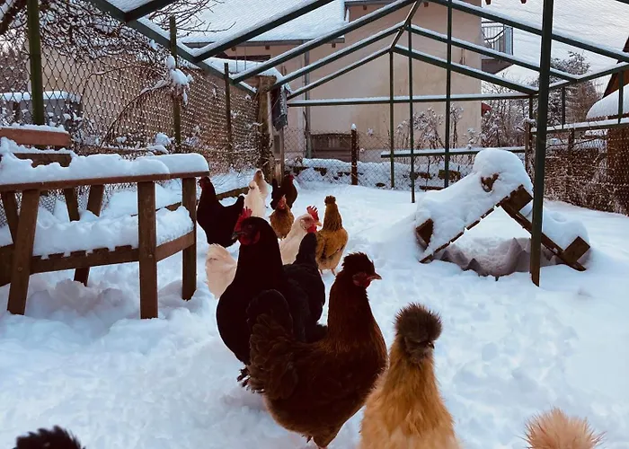 Apartament Oekologisch Wohnen Im Gruenen *