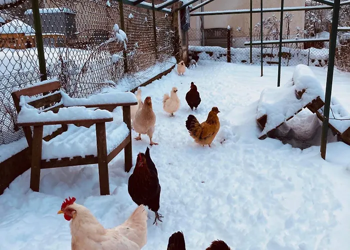 Oekologisch Wohnen Im Gruenen Apartament Marburg